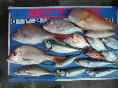 西遊魚センターの2021年8月1日(日)1枚目の写真