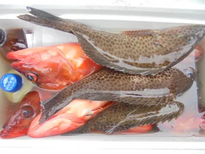 西遊魚センターの2021年8月16日(月)1枚目の写真