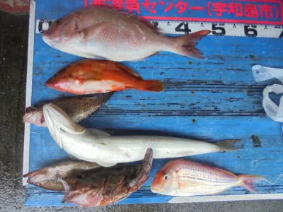 西遊魚センターの2021年8月16日(月)3枚目の写真