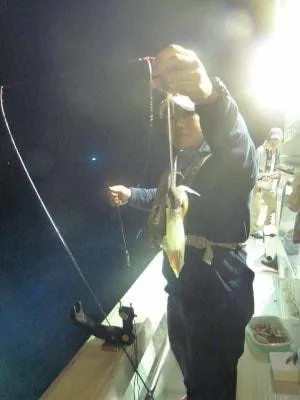 Fishing MOLA MOLAの2021年8月20日(金)2枚目の写真