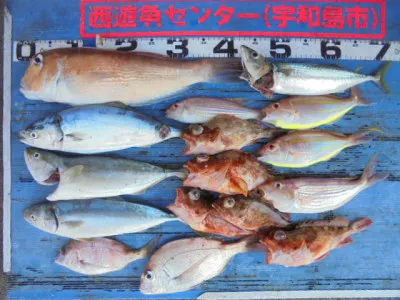 西遊魚センターの2021年8月29日(日)1枚目の写真