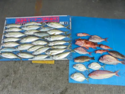 西遊魚センターの2021年9月11日(土)3枚目の写真
