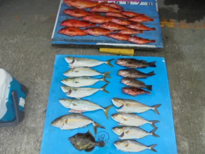 西遊魚センターの2021年9月11日(土)4枚目の写真