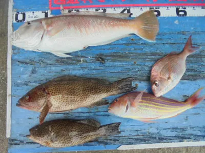 西遊魚センターの2021年9月21日(火)1枚目の写真
