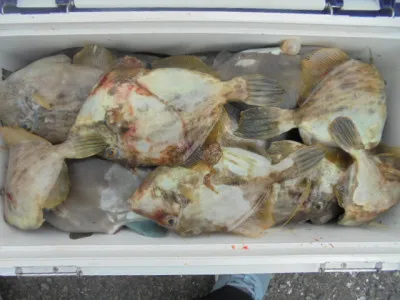 西遊魚センターの2021年9月25日(土)1枚目の写真