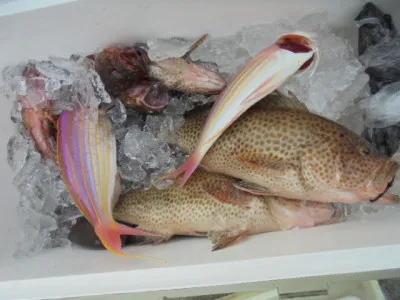 西遊魚センターの2021年9月25日(土)3枚目の写真