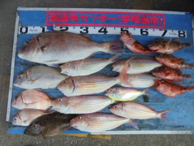 西遊魚センターの2021年9月26日(日)1枚目の写真