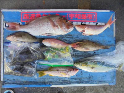 西遊魚センターの2021年10月2日(土)1枚目の写真