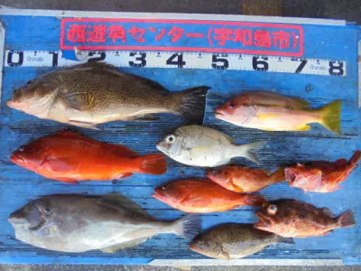 西遊魚センターの2021年10月3日(日)2枚目の写真