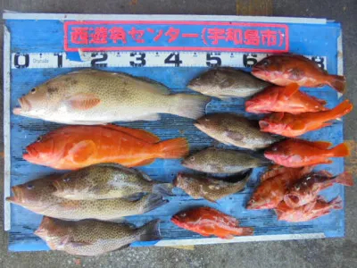 西遊魚センターの2021年10月3日(日)3枚目の写真