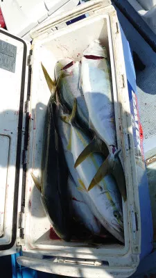 釣り船 秀進丸の2021年10月3日(日)2枚目の写真