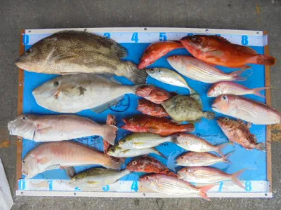 西遊魚センターの2021年10月24日(日)1枚目の写真