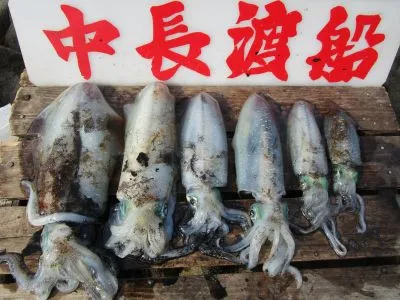 中長渡船の2021年10月27日(水)3枚目の写真