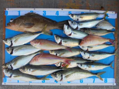 西遊魚センターの2021年10月27日(水)1枚目の写真
