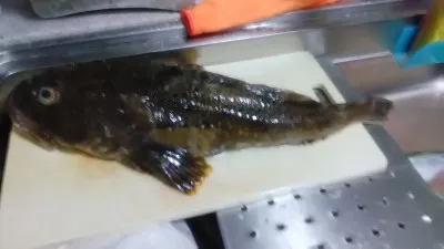 釣りキチ丸の2021年10月30日(土)3枚目の写真