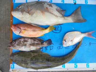 西遊魚センターの2021年10月30日(土)4枚目の写真