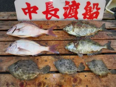 中長渡船の2021年10月31日(日)3枚目の写真