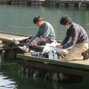 長谷大池釣り池センターの2021年11月1日(月)5枚目の写真