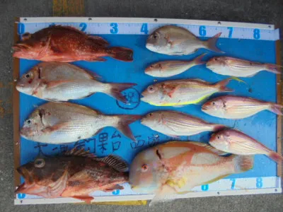 西遊魚センターの2021年11月3日(水)1枚目の写真