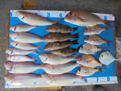 西遊魚センターの2021年11月3日(水)2枚目の写真