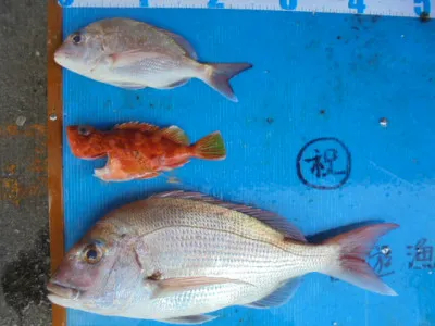西遊魚センターの2021年11月3日(水)3枚目の写真