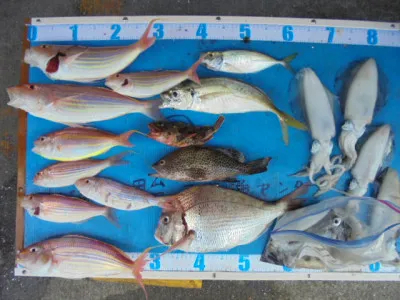 西遊魚センターの2021年11月3日(水)4枚目の写真