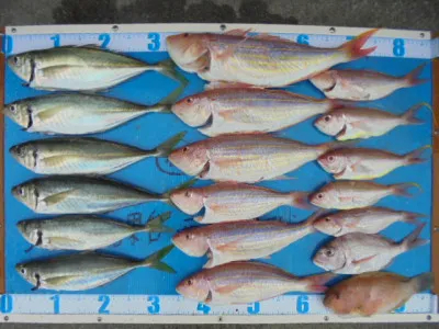 西遊魚センターの2021年11月6日(土)1枚目の写真