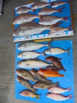 西遊魚センターの2021年11月6日(土)2枚目の写真