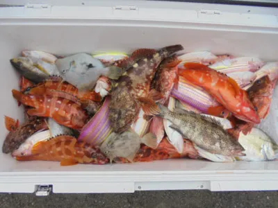 西遊魚センターの2021年11月6日(土)3枚目の写真