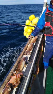 南海丸の2021年11月18日(木)2枚目の写真