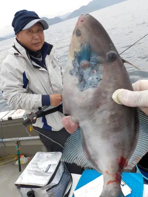 美浜釣舟センターの2021年11月21日(日)5枚目の写真