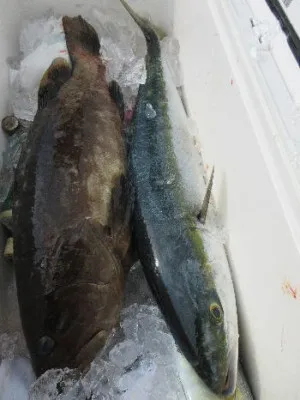 中山総合釣センター・海遊の2021年11月14日(日)4枚目の写真