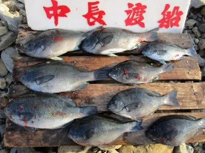 中長渡船の2021年12月3日(金)1枚目の写真