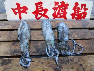 中長渡船の2021年12月5日(日)3枚目の写真