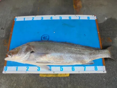 西遊魚センターの2021年12月5日(日)4枚目の写真
