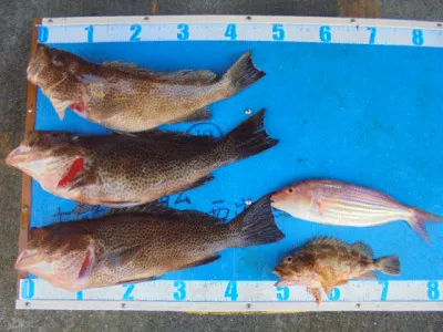 西遊魚センターの2021年12月5日(日)5枚目の写真