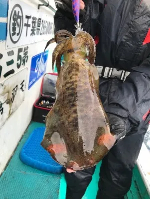 さえむ丸の2021年12月6日(月)2枚目の写真