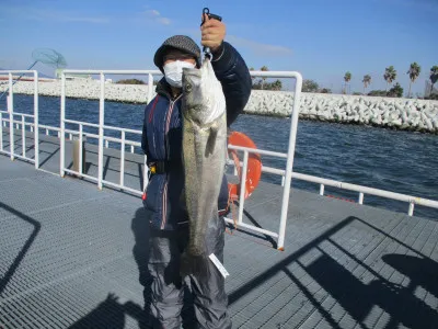 尼崎市立魚つり公園の2021年12月20日(月)3枚目の写真