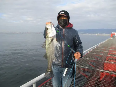 尼崎市立魚つり公園の2021年12月23日(木)1枚目の写真