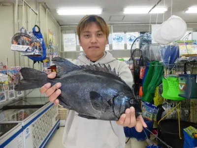 宮崎県青島港 柴釣具商会の釣果詳細 釣果 施設情報 釣りビジョン 釣果 施設情報 釣りビジョン