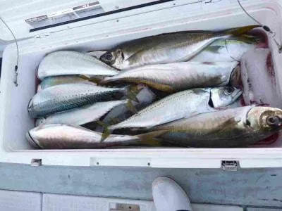 Fishing MOLA MOLAの2022年1月16日(日)4枚目の写真