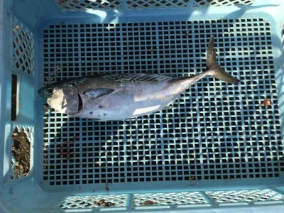 弁天丸の2021年12月22日(水)5枚目の写真