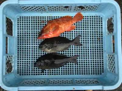 弁天丸の2021年12月24日(金)2枚目の写真