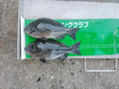 マルヒサ渡船の2022年1月21日(金)2枚目の写真
