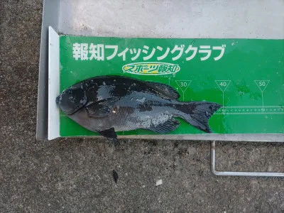 マルヒサ渡船の2022年1月21日(金)4枚目の写真