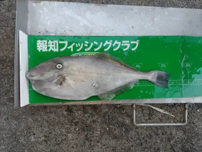 マルヒサ渡船の2022年1月22日(土)5枚目の写真