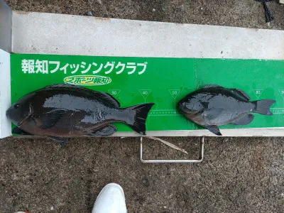 マルヒサ渡船の2022年1月23日(日)1枚目の写真