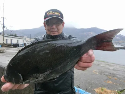 上野渡船の2022年1月23日(日)1枚目の写真