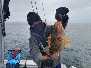 富山県宇波漁港 遊漁船 海坊主vの釣果詳細 釣果 施設情報 釣りビジョン 釣果 施設情報 釣りビジョン