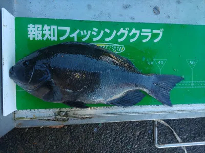 マルヒサ渡船の2022年1月24日(月)1枚目の写真